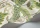 BushBaby119-7035.webp