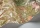 LetabaMarch119-11046.webp