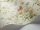 SweetPea_Image_WaveImage_Item_100-6027.webp