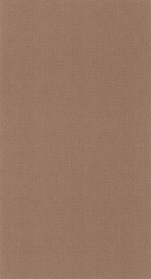 CASELIO_101562206 (1).jpg