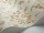 SweetPea_Image_WaveImage_Item_100-6028.webp