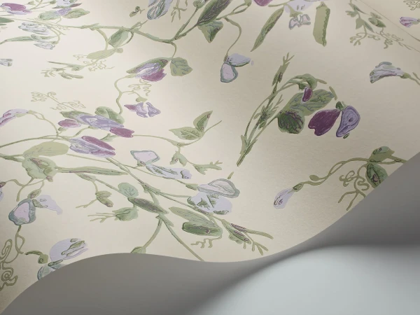 SweetPea_Image_WaveImage_Item_100-6030.webp
