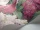 Lilac_Image_WaveImage_Item_115-1001.webp