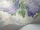 Lilac_Image_WaveImage_Item_115-1004.webp