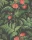 Rose_Image_Flatshot_Item_115-10030.webp