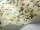SweetPea_Image_WaveImage_Item_115-11032.webp