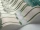 Allium_Image_WaveImage_Item_115-12035.webp