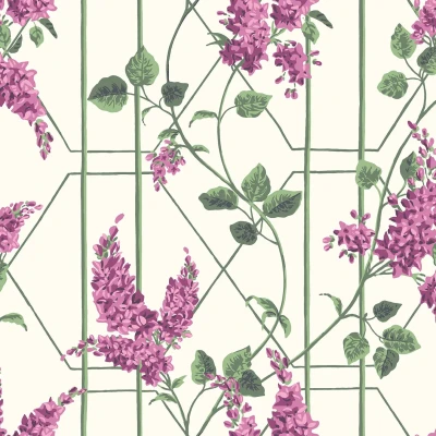 Wisteria_Image_Flatshot_Item_115-5013.webp