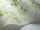 Wisteria_Image_WaveImage_Item_115-5014.webp
