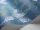 Wisteria_Image_WaveImage_Item_115-5015.webp