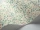 Maidenhair_Image_WaveImage_Item_115-6017.webp