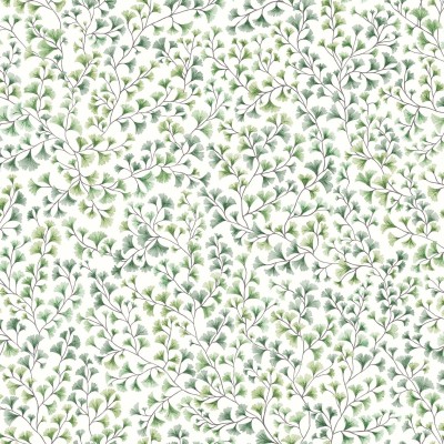 Maidenhair_Image_Flatshot_Item_115-6018.jpg