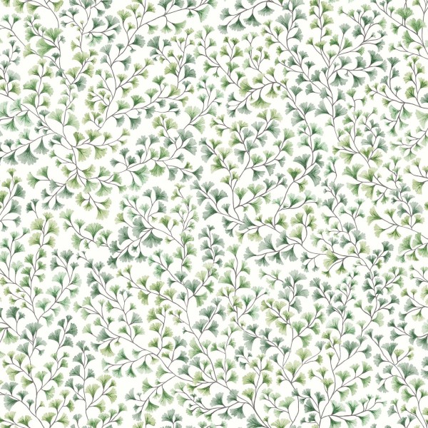 Maidenhair_Image_Flatshot_Item_115-6018.jpg