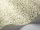 Maidenhair_Image_WaveImage_Item_115-6018.webp