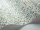 Maidenhair_Image_WaveImage_Item_115-6019.webp