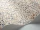 Maidenhair_Image_WaveImage_Item_115-6020.webp