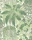 Fern_Image_Flatshot_Item_115-7021.webp
