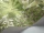 Fern_Image_WaveImage_Item_115-7021.webp