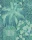 Fern_Image_Flatshot_Item_115-7022.webp