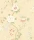 Camellia_Image_Flatshot_Item_115-8023.webp