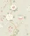 Camellia_Image_Flatshot_Item_115-8024.webp