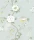 Camellia_Image_Flatshot_Item_115-8025.webp