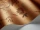 Camellia_Image_WaveImage_Item_115-8027.webp