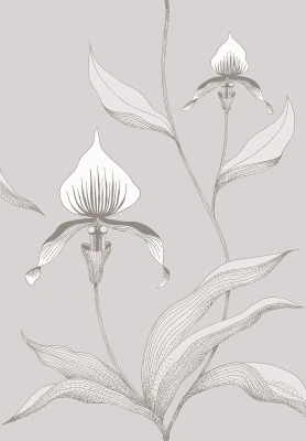 Orchid_Image_Flatshot_Item_95-10055.webp