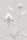 Orchid_Image_Flatshot_Item_95-10055.webp