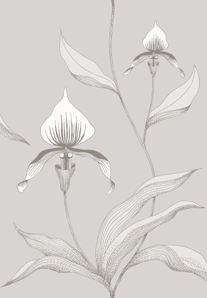 Orchid_Image_Flatshot_Item_95-10055.webp