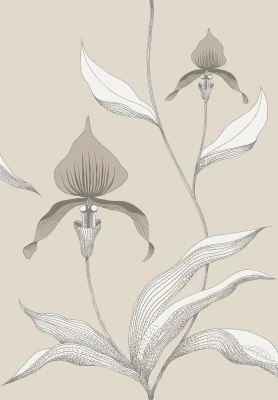 Orchid_Image_Flatshot_Item_95-10058.webp