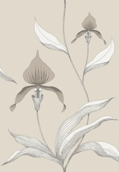 Orchid_Image_Flatshot_Item_95-10058.webp