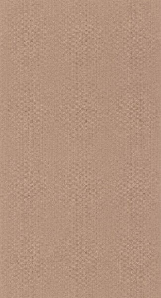 CASELIO_101562148 (1).jpg