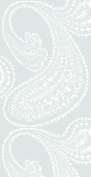Rajapur_Image_Flatshot_Item_95-2013.webp