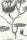 Lily_Image_Flatshot_Item_95-4020.webp