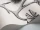 Lily_Image_WaveImage_Item_95-4020.webp