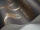 Lily_Image_WaveImage_Item_95-4021.webp