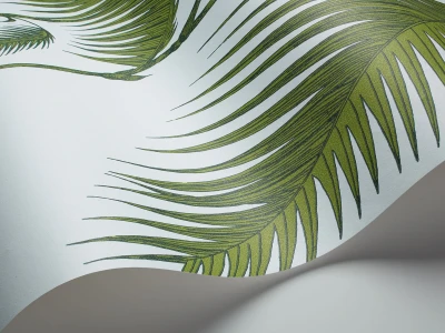 PalmLeaves_Image_WaveImage_Item_66-2010.webp