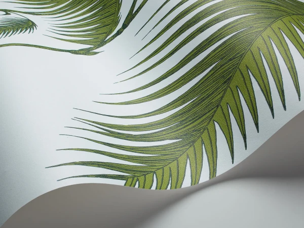 PalmLeaves_Image_WaveImage_Item_66-2010.webp