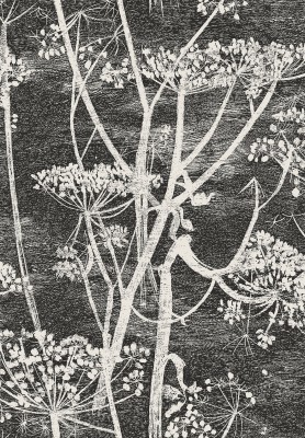 CowParsley_Image_Flatshot_Item_66-7046.jpg