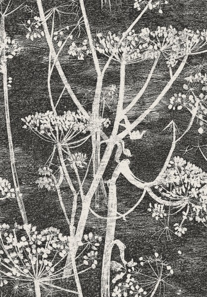 CowParsley_Image_Flatshot_Item_66-7046.jpg