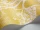 CowParsley_Image_WaveImage_Item_66-7051.webp