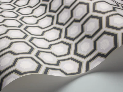 Hicks_Hexagon_Image_WaveImage_Item_66-8055.webp