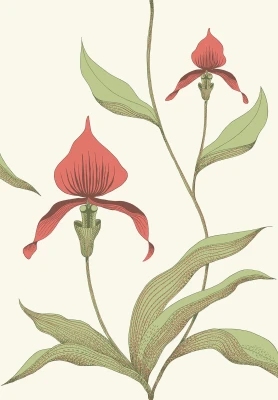 Orchid_Image_Flatshot_Item_95-10054.webp