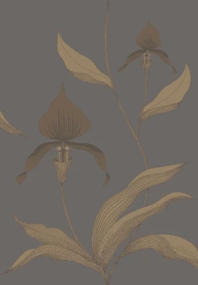 Orchid_Image_Flatshot_Item_95-10056.webp