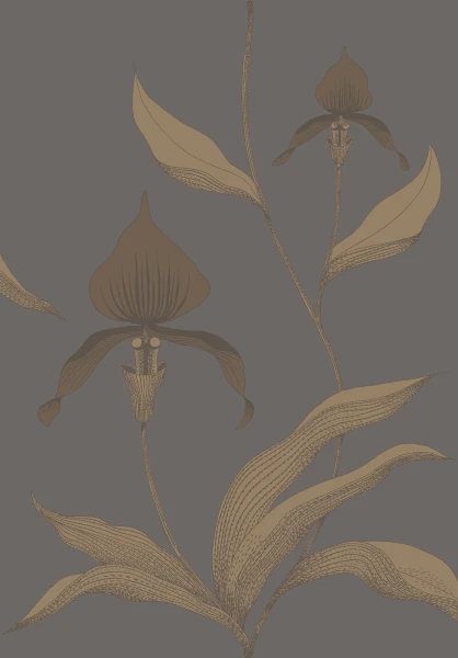 Orchid_Image_Flatshot_Item_95-10056.webp