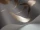 Orchid_Image_WaveImage_Item_95-10056.webp
