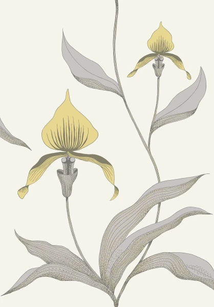 Orchid_Image_Flatshot_Item_95-10057.webp