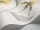 Orchid_Image_WaveImage_Item_95-10057.webp