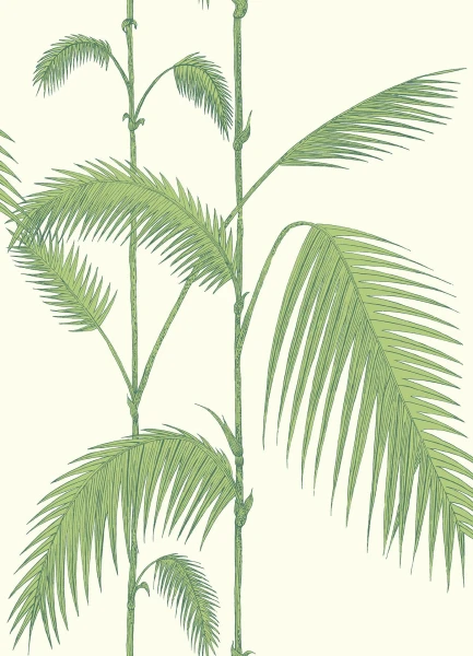 PalmLeaves_Image_Flatshot_Item_95-1009.jpg
